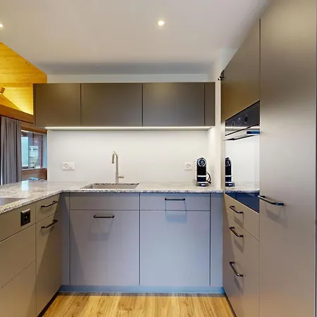 Wieseli By Interhome * 格林德瓦