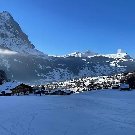 Wieseli By Interhome 公寓 格林德瓦