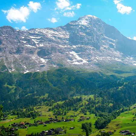 Wieseli By Interhome 公寓 *