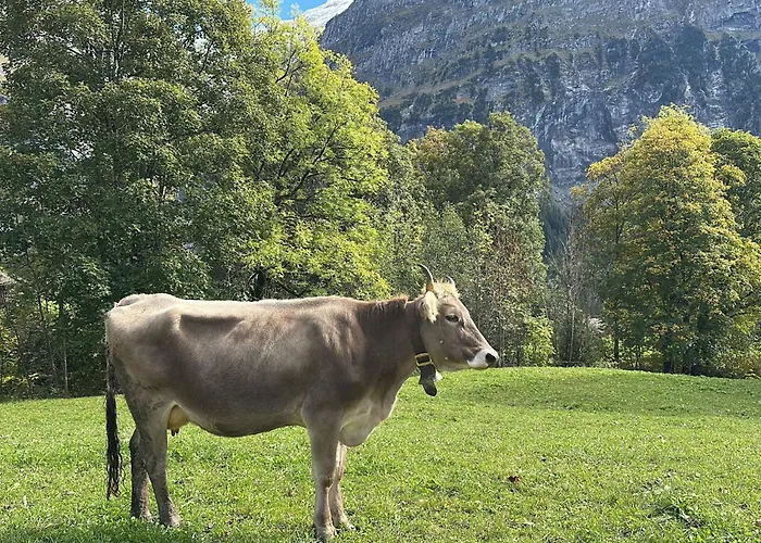 Wieseli By Interhome Lägenhet