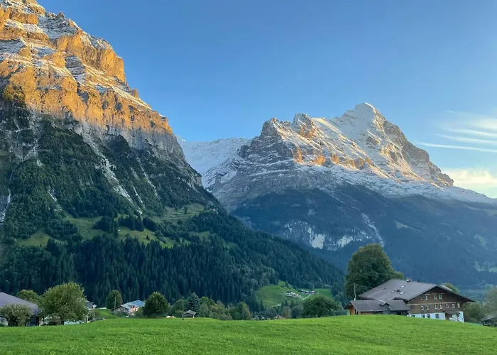 Wieseli By Interhome Appartamento *