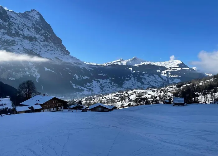 Wieseli By Interhome Lägenhet Grindelwald