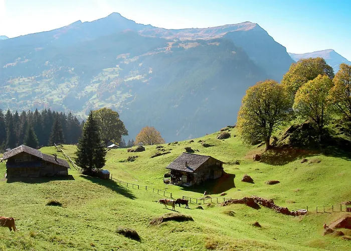 Lägenhet Wieseli By Interhome